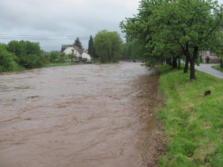 Povedeň 2013 (13)