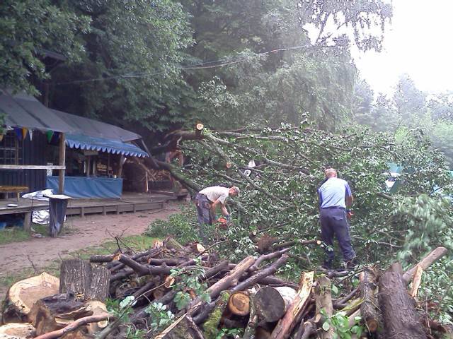 Strom plovárna (02)